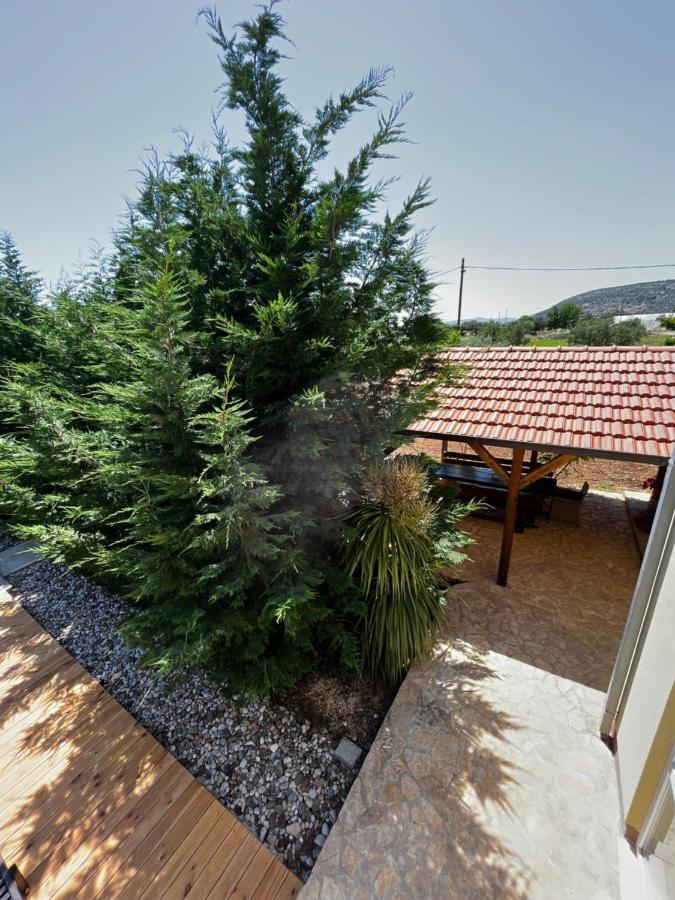 Apartament Orange Tree Garden Trogir Zewnętrze zdjęcie